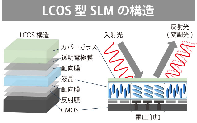 LCOS構造