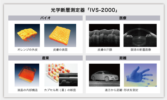 OCTを使用して撮影した、具体的な測定例のご紹介