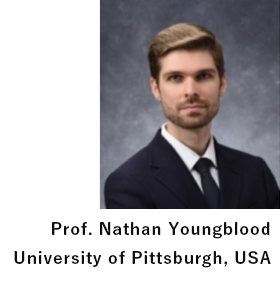 profN.png