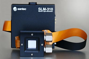 SLM