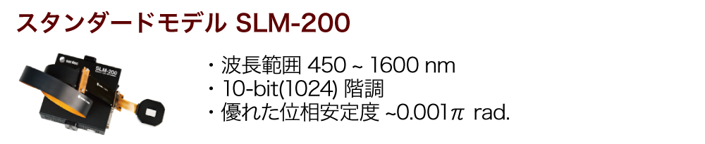 strategic_2511_5.jpg